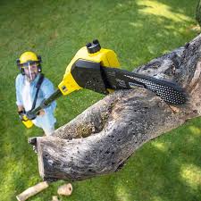 Best Commercial Tree Services  in San Joaquin, CA